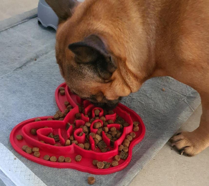 French Bulldog Slow Feeder (270ml / 9oz) 3D Printed